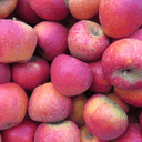 Pommes Dalirène BIO