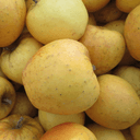 Pommes Opal BIO