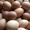 12 Oeufs