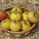 Pomme Délisdor - 3.5kg