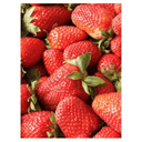 3°) Fraise ronde provence - Lot