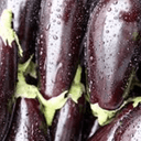 aubergine