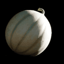 Melon