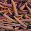 Carottes