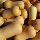 butternut
