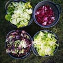 Mélange de salades bio - Sachet