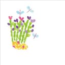 Aneth feuilles 15g