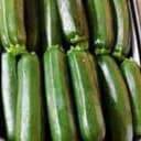 courgettes - vertes longues petit calibre