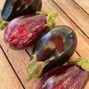 Aubergine