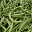 Haricots verts - 