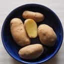 pomme de terre DITTA