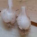 AIL FRAIS - 500g