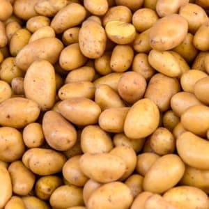 Pomme de Terre