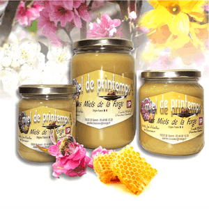 MIEL DE PRINTEMPS CREMEUX