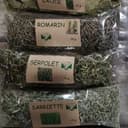 Aromate - SARRIETTE - Sachet compostable de 15gr