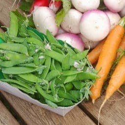 POIS MANGETOUT