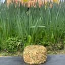 Chiôni aromatisé ciboulette/échalote - 100g