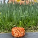 Chiôni aromatisé poivron/graines de moutarde/poivre - 100g