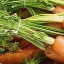 CAROTTE AVEC FANES - Carottes avec fanes de 1 kg
