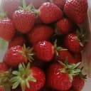 Fraises 250g