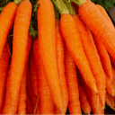 CAROTTE - CAROTTES DE COULEUR