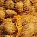 Pommes de terre - Variété Étincelle 