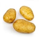 Pomme de terre Ditta