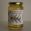 Miel d'Acacia - Pot de 500 g