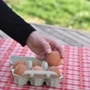 Boite de 6 oeufs calibre ML