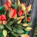 Bouquet de tulipes-8 tiges normales