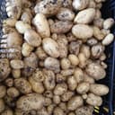 Pomme de terre Margod - filet 5 kg pdt nouvelles