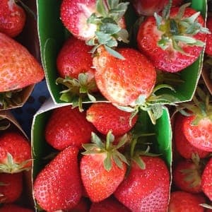 FRAISE