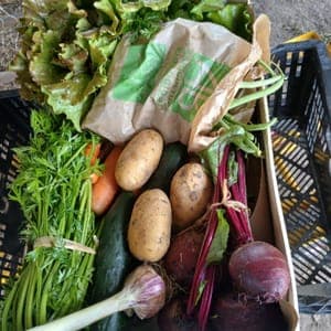 PANIER 4/6 PERSONNES