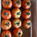 TOMATE - 3 KG A FARCIR