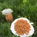 Amandes  décortiquées