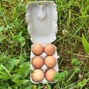 Boite de 6 oeufs