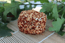 Chèvre Aromatisé oignons rouges