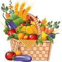 Panier de légumes BIO - grand