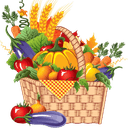 Panier de légumes BIO - moyen