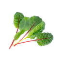 Blettes - botte de 500 g