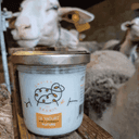 Yaourt nature - Yaourt individuel - 100 g