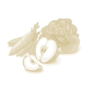 Haricots verts