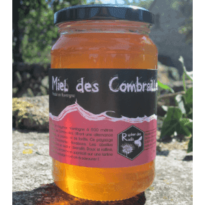 Miel des Combrailles