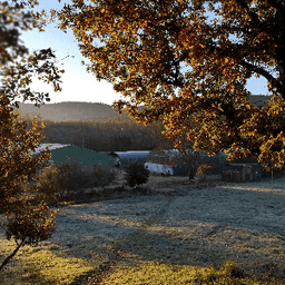 La Ferme des Jovents #3