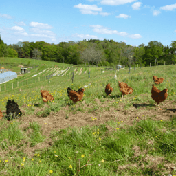 Les Jardins à Croquer #4