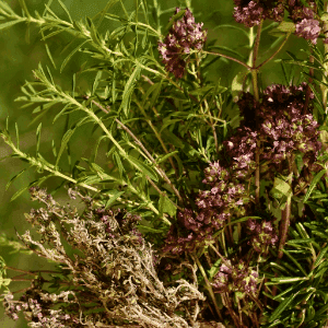 Herbes de Provences BOURFIERS