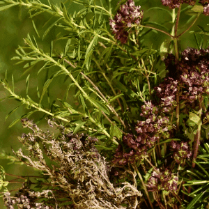 Sel fin aux herbes de Provence BIO BOURFIERS