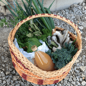 Panier de légumes surprise
