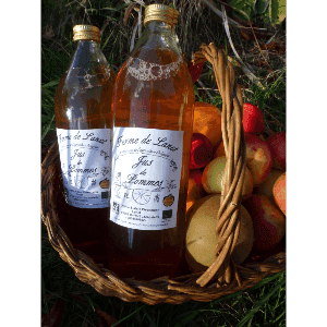 Jus de Pomme variétés anciennes