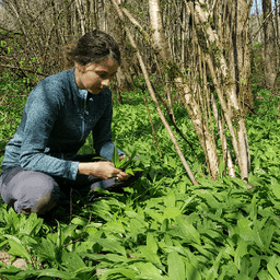 Racines et Plantes #3